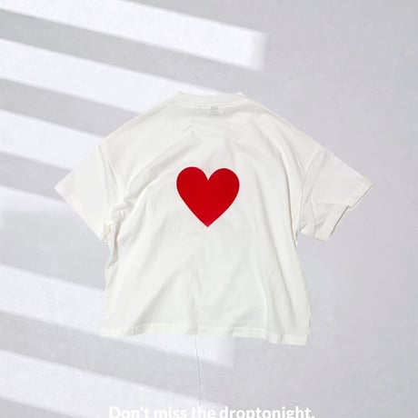 blank canvas   shortT