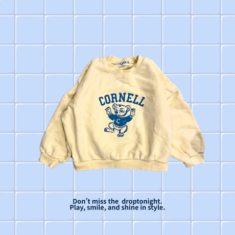 CORNELL bear🐻