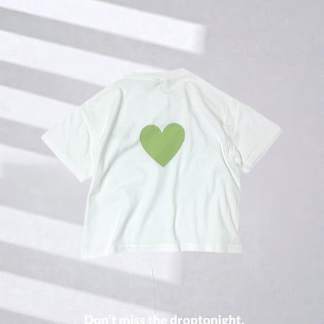 blank canvas   shortT