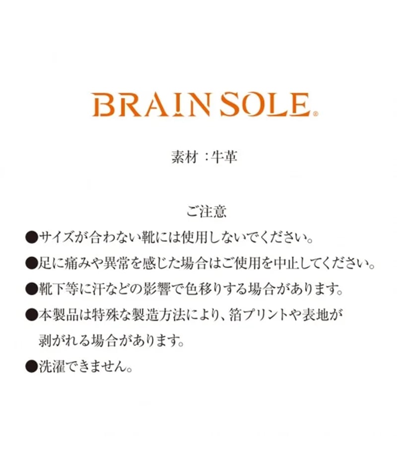 ブレインソール TYPE-2 | からだクリエイト