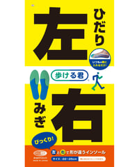 歩ける君