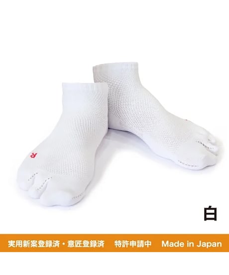 KCソックス2
