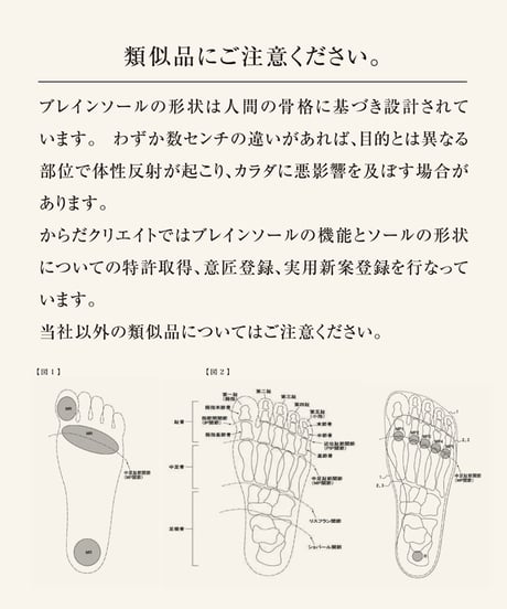 ブレインソール TYPE-2