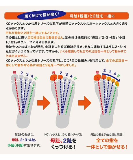 つかむ君 キッズサイズ｜17～20cm
