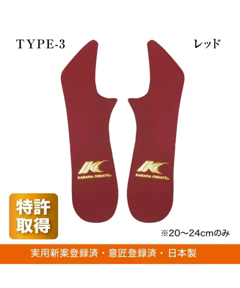 BRAIN SOLE インソール 20-24cm カラダクリエイト　新品未使用 ブレインソール TYPE-3 | からだクリエイト