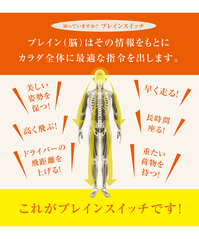 ブレインソール TYPE-3 | からだクリエイト