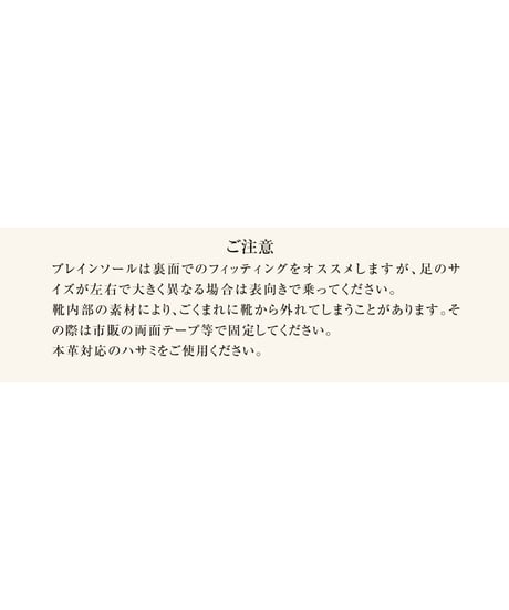 ブレインソール TYPE-2