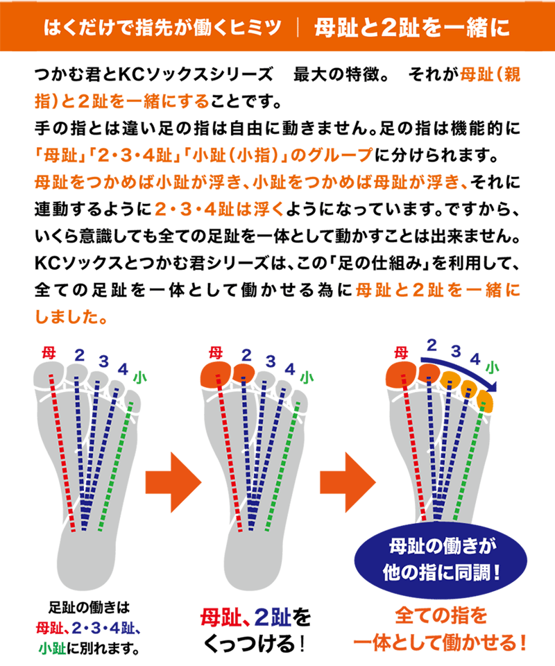 つかむ君プロ 2軸の極 | からだクリエイト