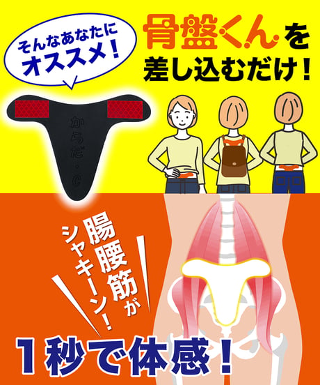 骨盤くん