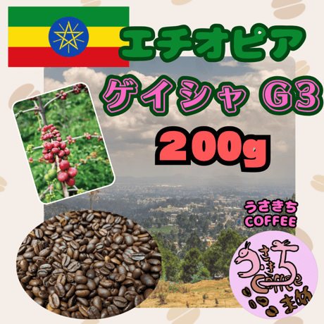 コーヒー豆200g　エチオピア　ゲイシャG3　ゲラナ農園