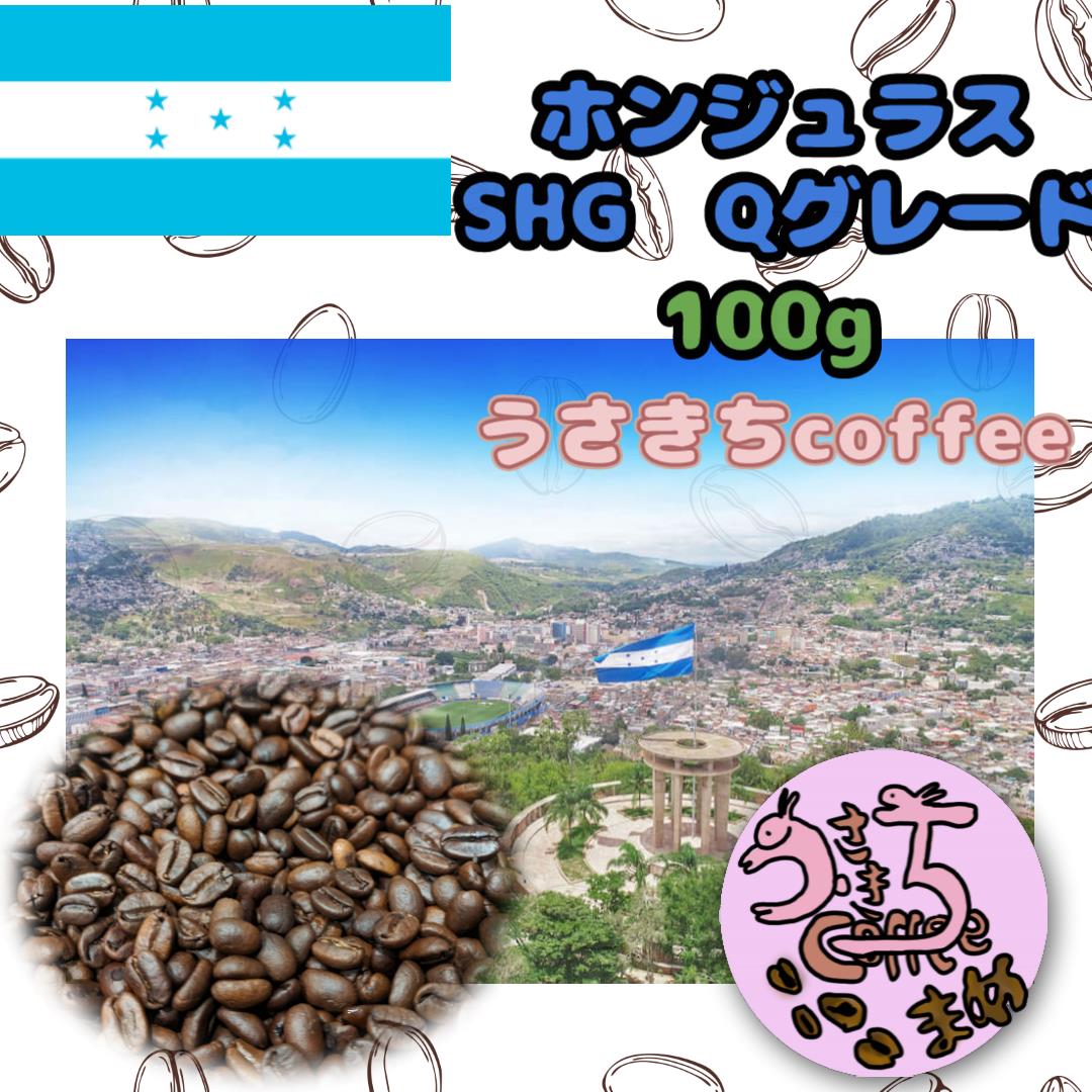 自家焙煎コーヒー豆 100g ホンジュラスSHG | うさきちcoffee 自家焙煎コーヒー豆 100g ホンジュラスSHG | うさきちcoffee