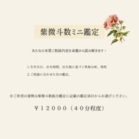 りり　紫微斗数ミニ鑑定