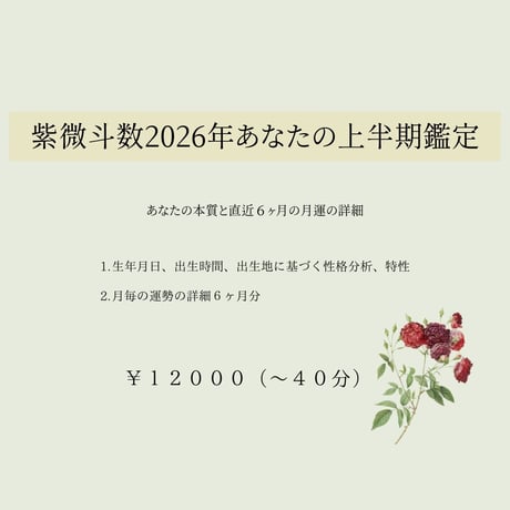 りり　紫微斗数2026年上半期運勢鑑定