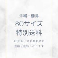 沖縄・離島特別送料(送料無料時)