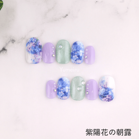 紫陽花の朝露