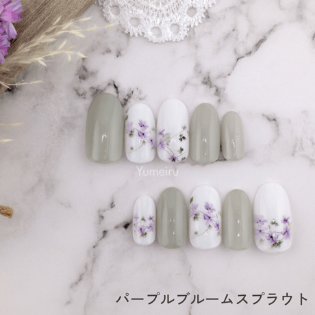 パープルブルームスプラウト