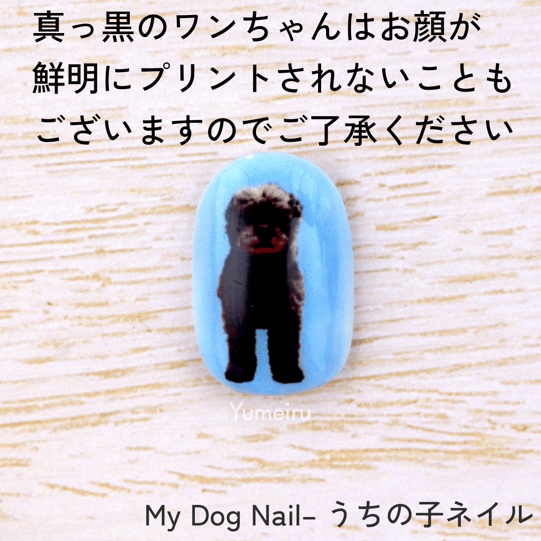 My Dog Nail– うちの子ネイル | yumeiru