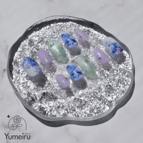 紫陽花の朝露