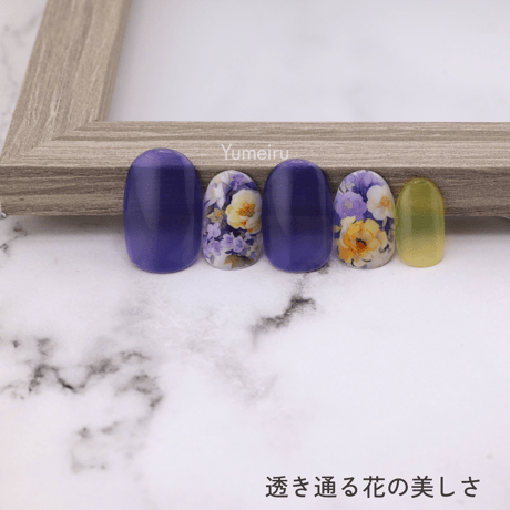 透き通る花の美しさ