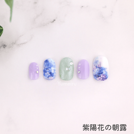 紫陽花の朝露