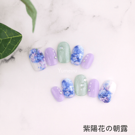 紫陽花の朝露