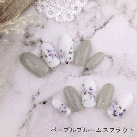 パープルブルームスプラウト