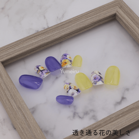 透き通る花の美しさ