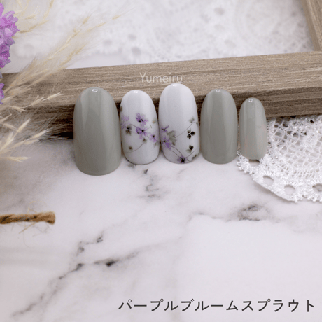 パープルブルームスプラウト