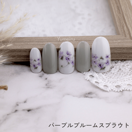 パープルブルームスプラウト