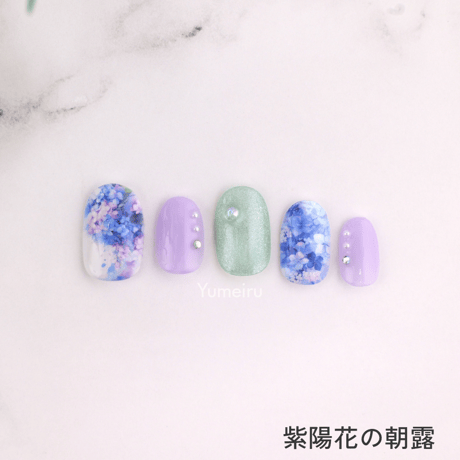 紫陽花の朝露