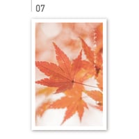 07_紅葉