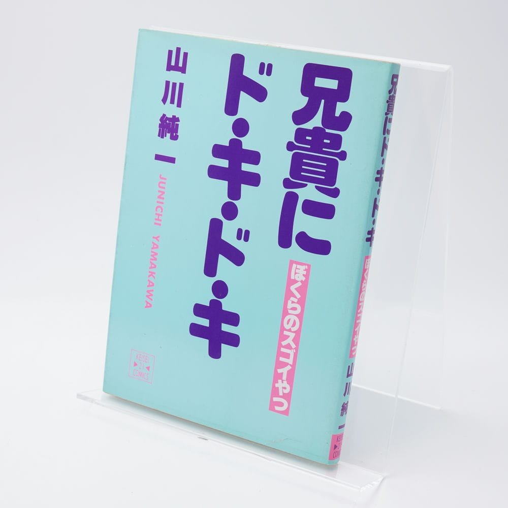 君にニャンニャン・兄貴にドキドキ・ワクワクBOY・ふたりの童話・風のアルバム①② 兄貴にド・キ・ド・キ ぼくらのスゴイやつ 山川純一 | 古書牛歩