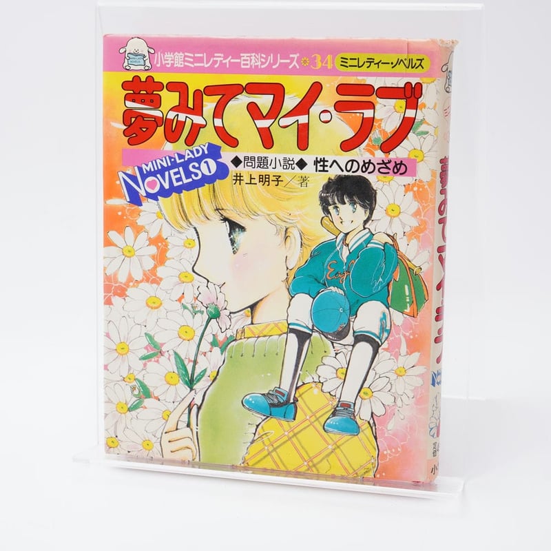 夢みてマイ・ラブ 問題小説 性へのめざめ ミニレディーノベルズ1