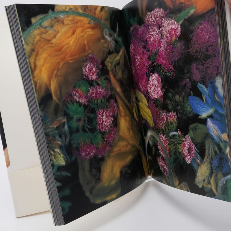 花曲 / Kakyoku - 荒木 経惟 / Nobuyoshi Araki