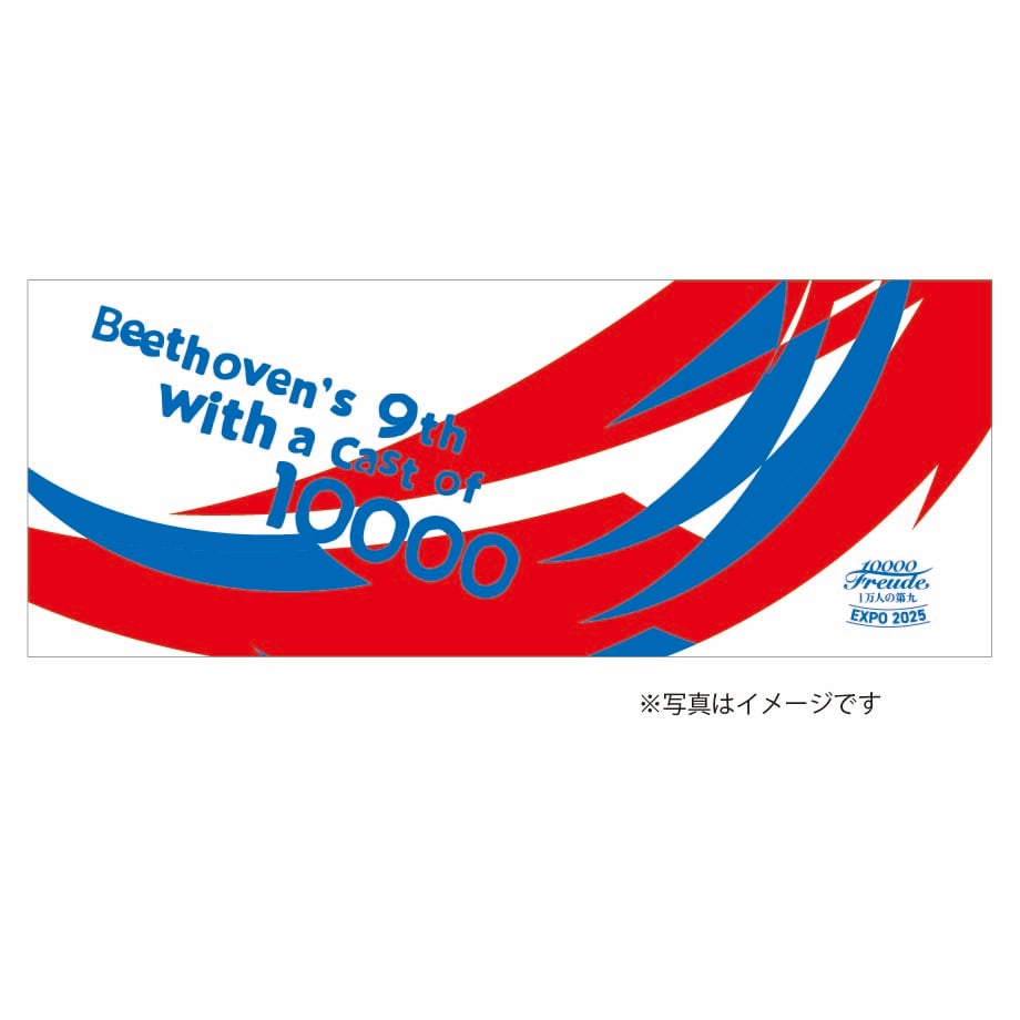 67d3ec2d6af3fcc95381d28d