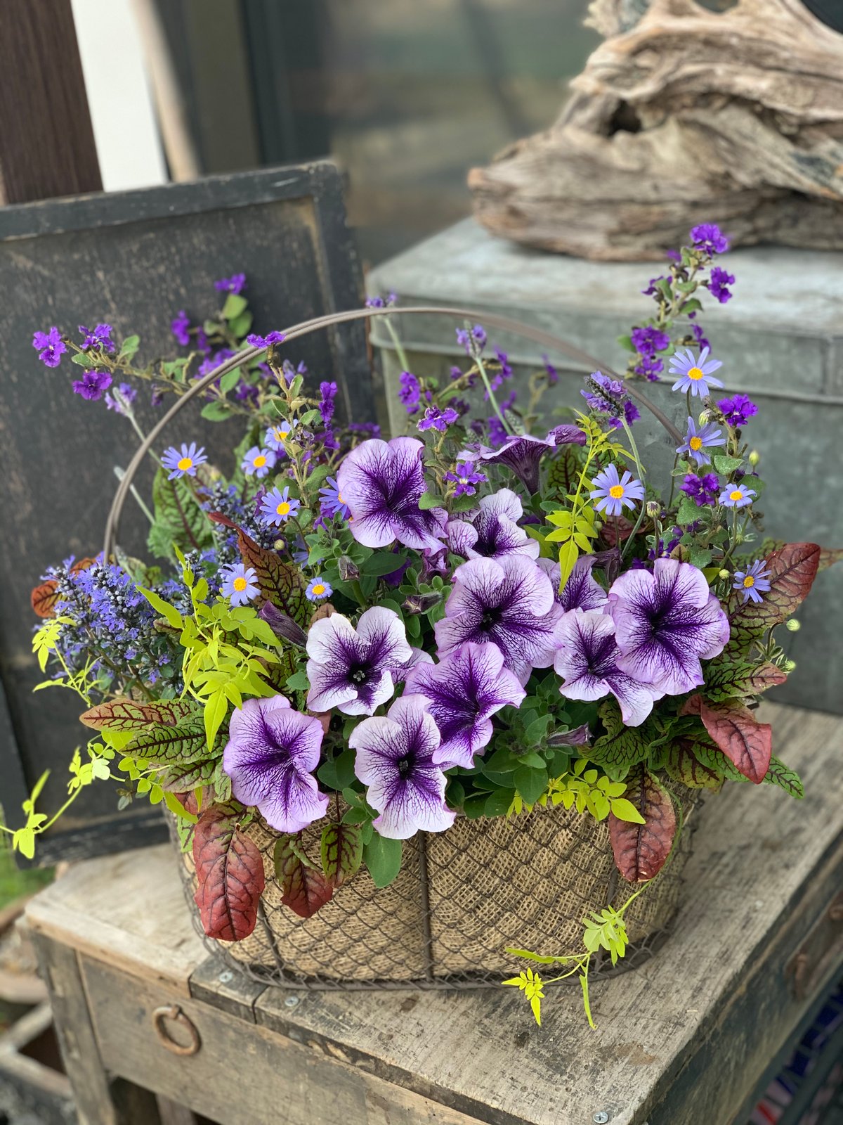 ワイヤーバスケットの寄せ植え | yama niwa