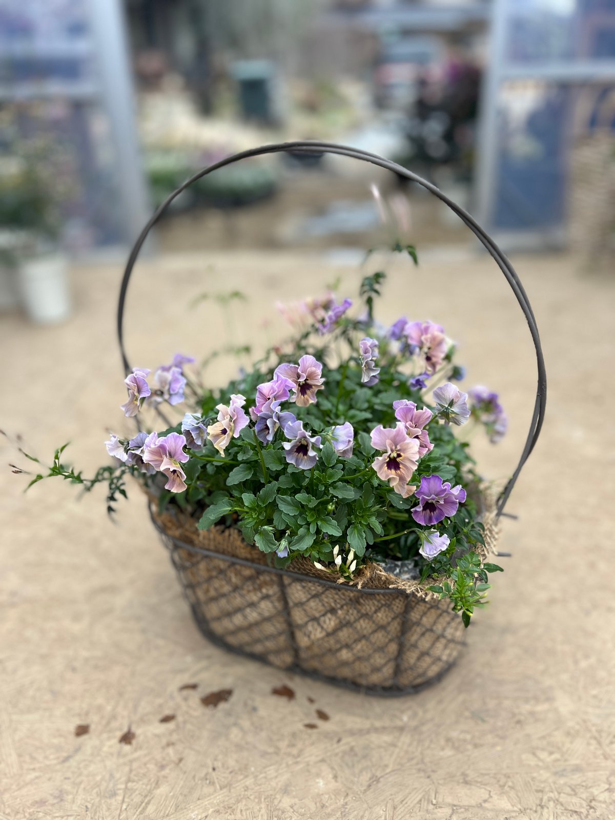 ヴィンテージ ワイヤーカゴ ガーデニング 寄せ植え 古道具 バスケット ワイヤーバスケットの寄せ植え | yama niwa