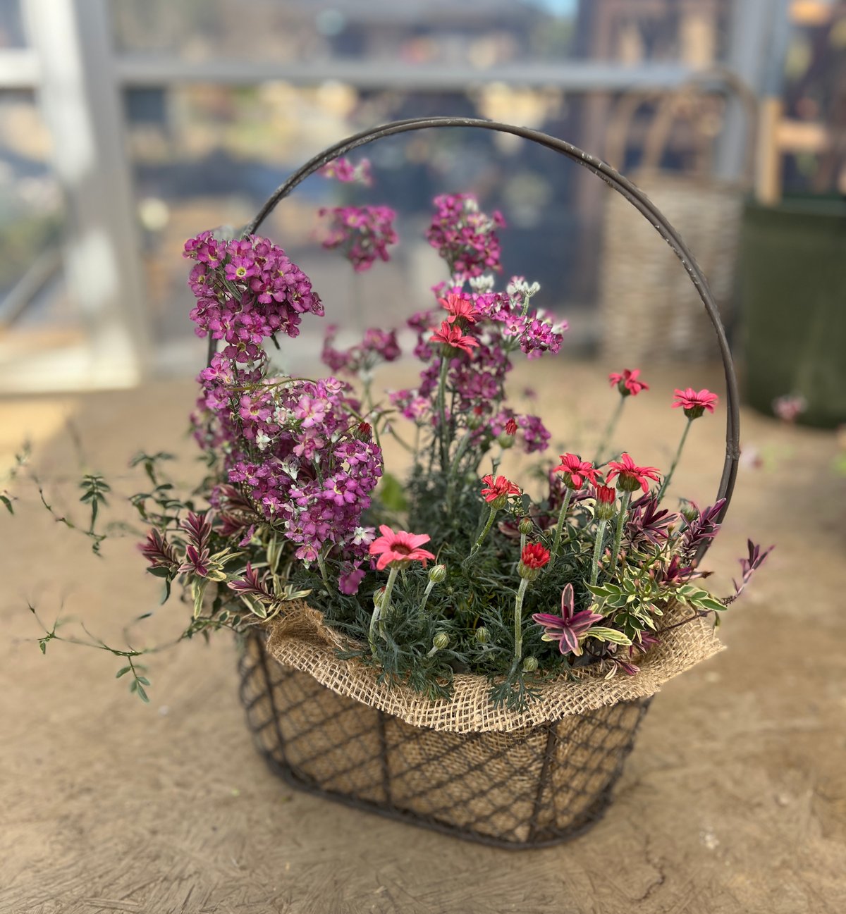 ワイヤーバスケットの寄せ植え | yama niwa