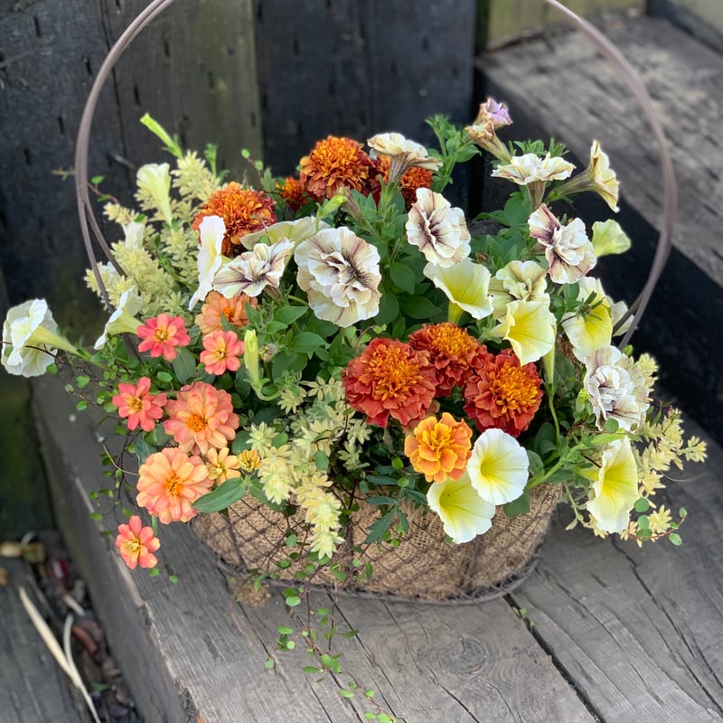 ワイヤーバスケットの寄せ植え | yama niwa