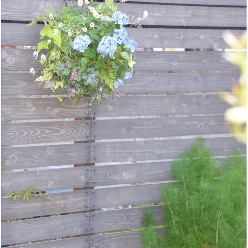 季節のハンギングバスケット M size | yama niwa