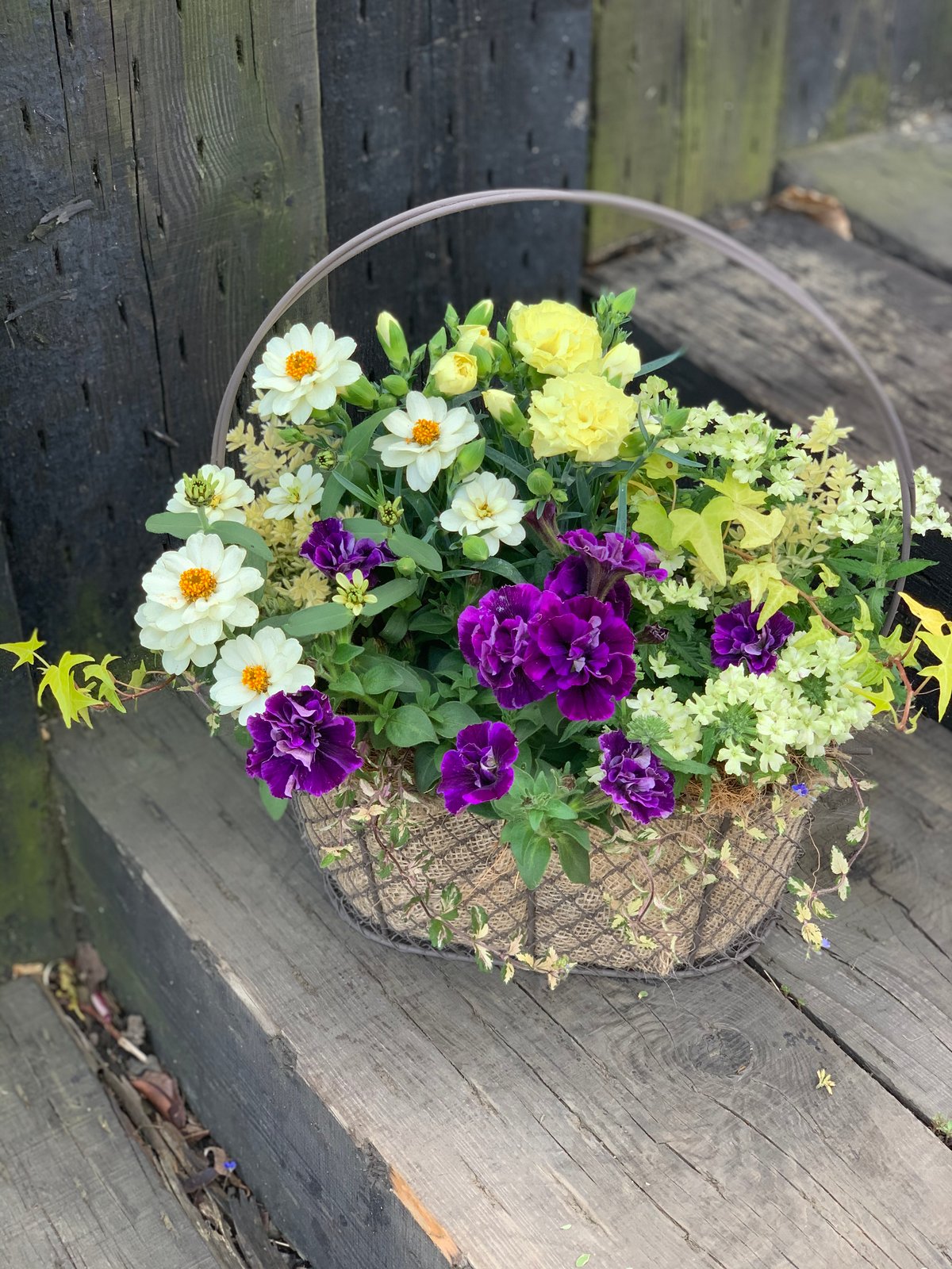 L2510-657 英国アンティーク ワイヤーラック ガーデニング 寄せ植え