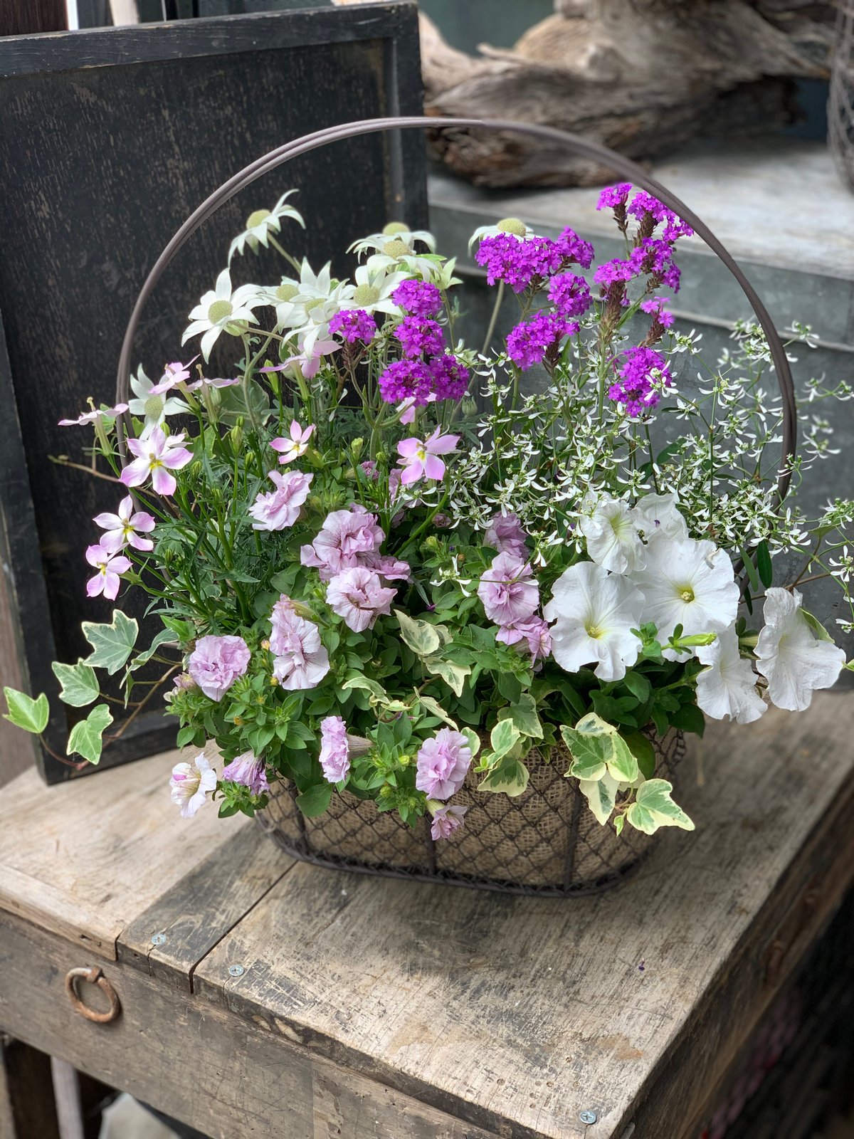 ワイヤーカゴ◆多肉寄せ植え ワイヤーカゴと麻紐バッグで寄せ植え｜🍀GreenSnap（グリーンスナップ）