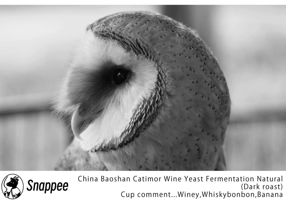 66fb5ee245c7bd0a40659c1d