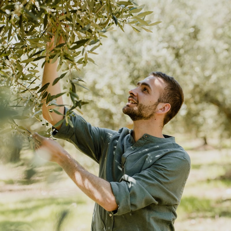 Olive Japan2025 受賞オリーブオイルセット（セット数限定、受賞記念5