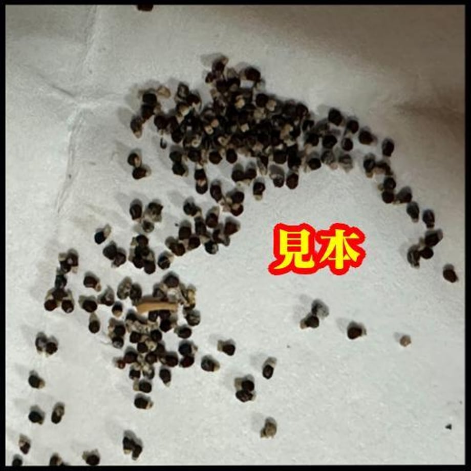 682dbe06ccd49ae298e1a37e