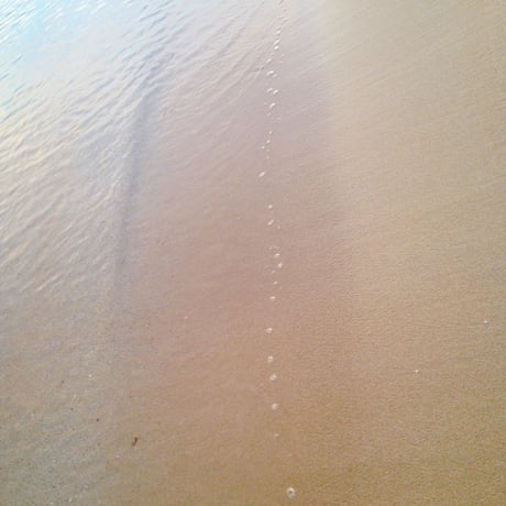 惑星音叉 | STORES