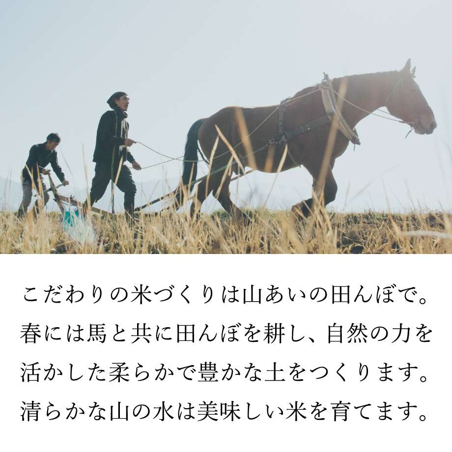660f8d9451c85c0798717a0c