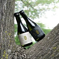 山瑞 純米大吟醸 ＆ 純米酒 -白- 300ml 2本