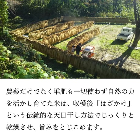 山瑞 純米酒 720ml 1本 無濾過生貯蔵原酒