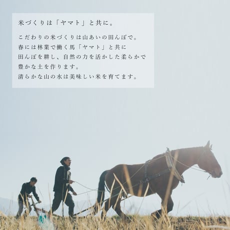 山瑞 純米大吟醸 720ml 【生酒】